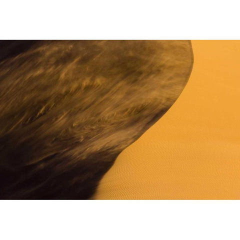 Namibia, Namib-Naukluft NP Blowing sand on dune Gold Ornate Wood Framed Art Print with Double Matting by Young, Bill