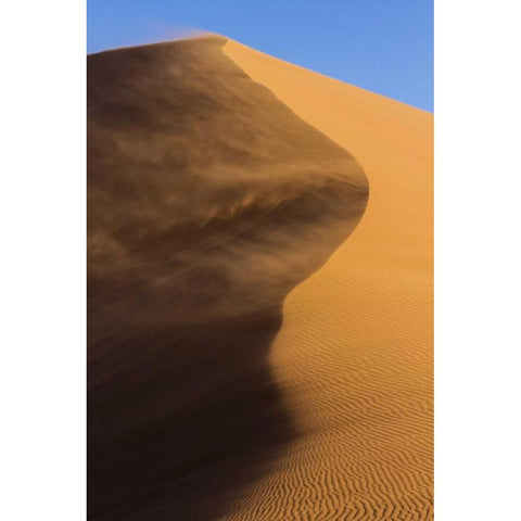 Namibia, Namib-Naukluft NP Blowing sand on dune Black Modern Wood Framed Art Print with Double Matting by Young, Bill
