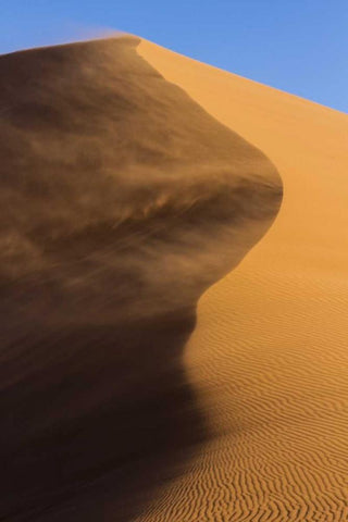 Namibia, Namib-Naukluft NP Blowing sand on dune Black Ornate Wood Framed Art Print with Double Matting by Young, Bill