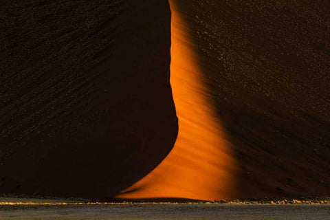 Namibia, Namib-Naukluft NP Abstract of sand dune Black Ornate Wood Framed Art Print with Double Matting by Young, Bill