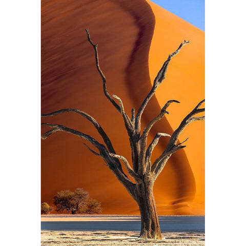 Namibia-Sossusvlei-Namib-Naukluft National Park-Composite of dead tree and sand dune Black Modern Wood Framed Art Print by Jaynes Gallery