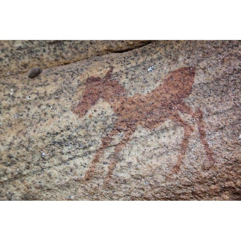 Rock art of zebra, Sevilla Trail, South Africa Black Modern Wood Framed Art Print with Double Matting by Kaveney, Wendy