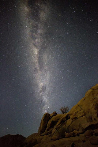 South Richtersveld NP Milky Way at night Black Ornate Wood Framed Art Print with Double Matting by Young, Bill
