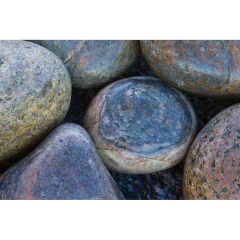 South Buckballbaai Cluster of rounded rocks White Modern Wood Framed Art Print by Young, Bill