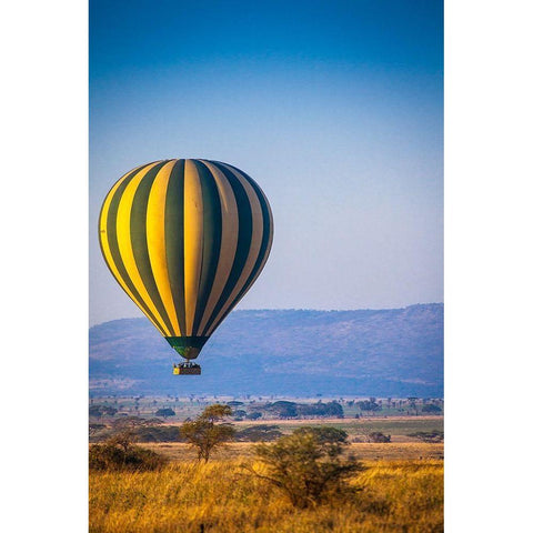 A hot-air balloon slowly traverses over the Serengeti plain White Modern Wood Framed Art Print by Richardson, Larry