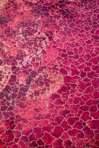 Africa-Tanzania-Aerial view of patterns of red algae and salt formations in shallow salt waters White Modern Wood Framed Art Print with Double Matting by Souders, Paul