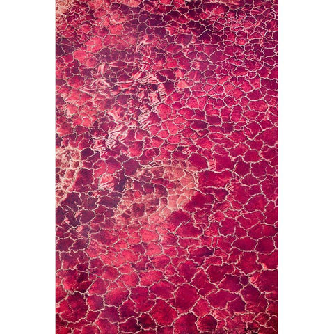 Africa-Tanzania-Aerial view of patterns of red algae and salt formations in shallow salt waters Black Modern Wood Framed Art Print by Souders, Paul