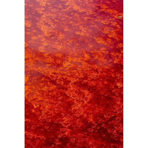 Africa-Tanzania-Aerial view of patterns of red algae and salt formations in shallow salt waters Gold Ornate Wood Framed Art Print with Double Matting by Souders, Paul