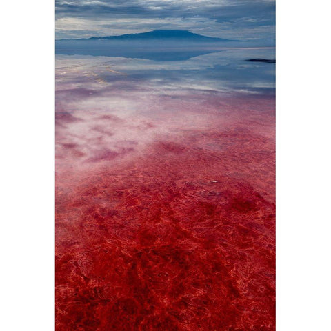 Africa-Tanzania-Enhanced contrast aerial view of patterns of red algae and salt formations  Black Modern Wood Framed Art Print with Double Matting by Souders, Paul
