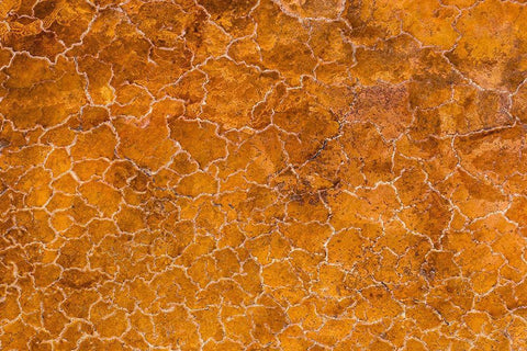 Africa-Tanzania-Aerial view of patterns of yellow algae and salt formations in shallow salt waters Black Ornate Wood Framed Art Print with Double Matting by Souders, Paul