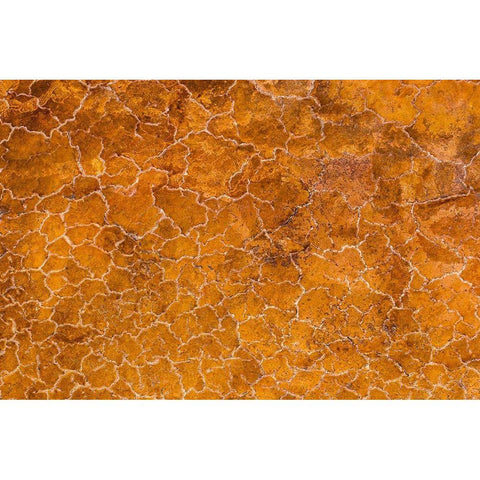 Africa-Tanzania-Aerial view of patterns of yellow algae and salt formations in shallow salt waters Black Modern Wood Framed Art Print with Double Matting by Souders, Paul
