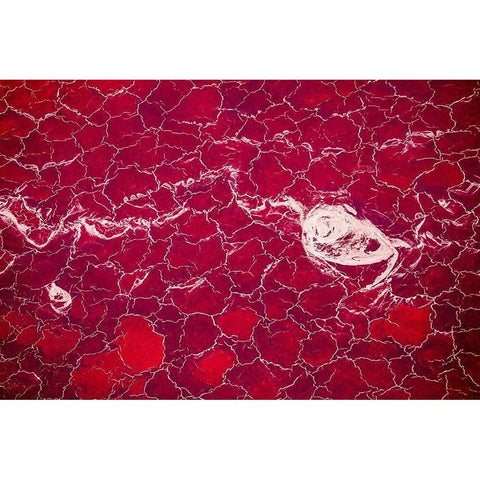 Africa-Tanzania-Aerial view of patterns of red algae and salt formations in shallow salt waters Black Modern Wood Framed Art Print with Double Matting by Souders, Paul