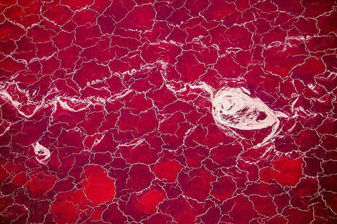 Africa-Tanzania-Aerial view of patterns of red algae and salt formations in shallow salt waters Black Ornate Wood Framed Art Print with Double Matting by Souders, Paul
