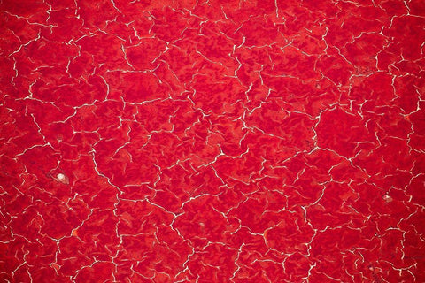 Africa-Tanzania-Aerial view of patterns of red algae and salt formations in shallow salt waters Black Ornate Wood Framed Art Print with Double Matting by Souders, Paul