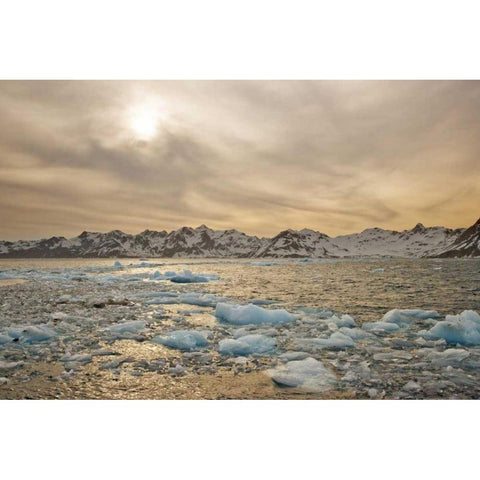 South Georgia Isl Sunset over water and sea ice Black Modern Wood Framed Art Print by Delisle, Gilles