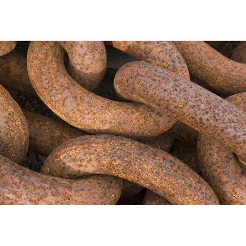 South Georgia Island, Grytviken Rusty chain Black Modern Wood Framed Art Print with Double Matting by Paulson, Don