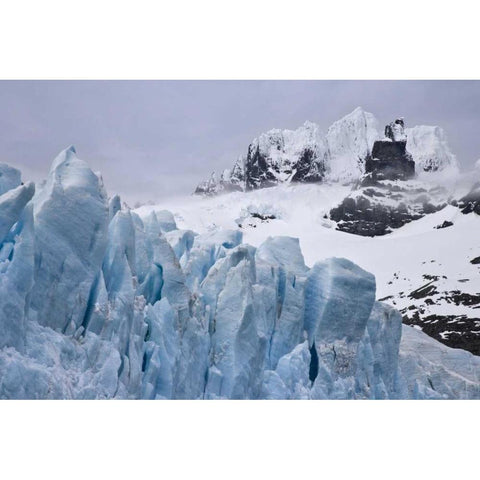 South Georgia Island Harmer Glacier and Starbuck White Modern Wood Framed Art Print by Paulson, Don