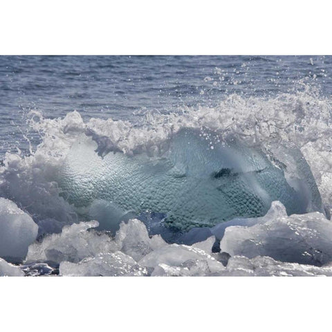 South Georgia Isl, Wirik Bay Wave on the beach Black Modern Wood Framed Art Print by Paulson, Don