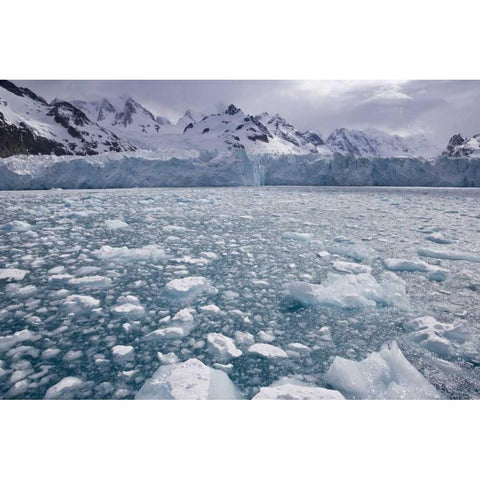 South Georgia Island, Iris Bay Herz Glacier White Modern Wood Framed Art Print by Paulson, Don