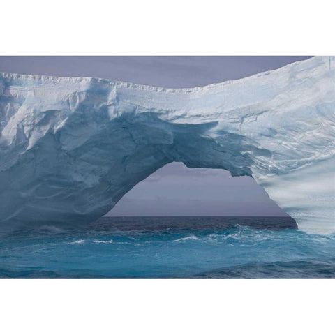 South Georgia Island, Iris Bay Iceberg bridge Black Modern Wood Framed Art Print by Paulson, Don