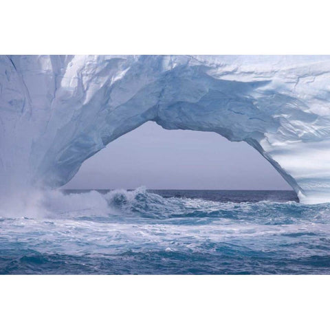 South Georgia Island Waves splash under iceberg Gold Ornate Wood Framed Art Print with Double Matting by Paulson, Don