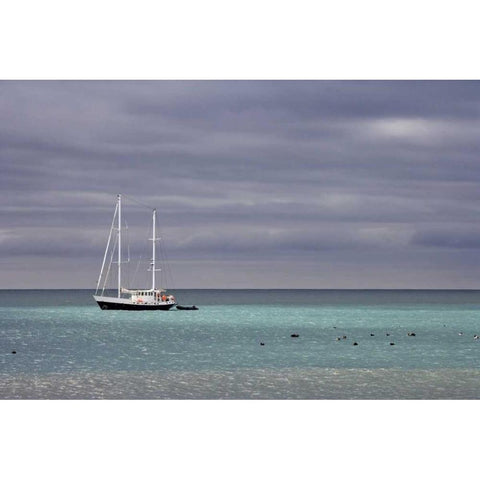 South Georgia Isl Sailing yacht anchored in bay Black Modern Wood Framed Art Print by Paulson, Don