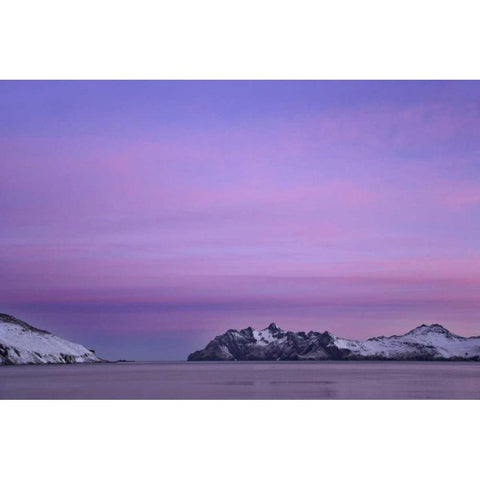 South Georgia Island, Leith Harbor Pink Sunrise Black Modern Wood Framed Art Print by Paulson, Don