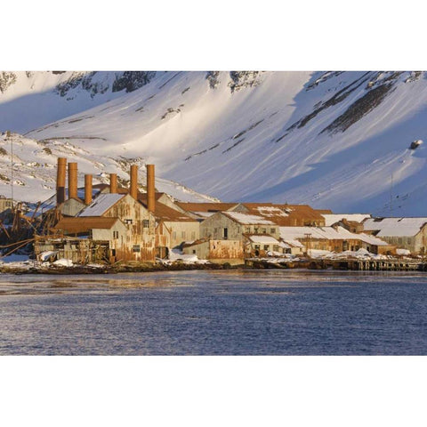 South Georgia Isl, Abandoned whaling station Black Modern Wood Framed Art Print by Paulson, Don