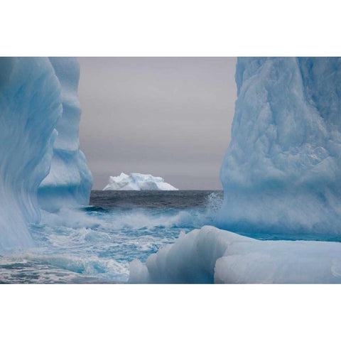 South Georgia Island Blue-tinged icebergs Black Modern Wood Framed Art Print by Paulson, Don