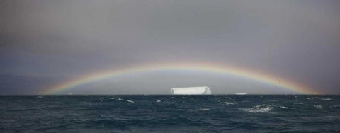 Antarctica, A tabular iceberg under a low rainbow Black Ornate Wood Framed Art Print with Double Matting by Grall, Don