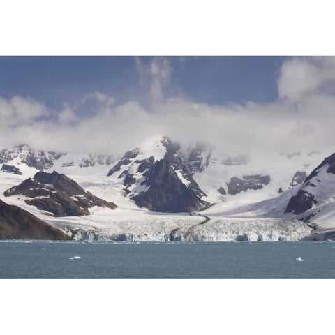 Antarctica, Royal Bay Weddell Glacier Black Modern Wood Framed Art Print with Double Matting by Grall, Don