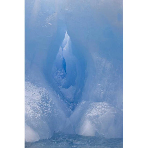 Antarctica, South Shetland A vivid blue iceberg Black Modern Wood Framed Art Print with Double Matting by Grall, Don