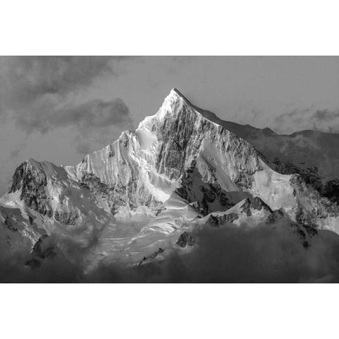 Antarctica, Snow-capped mountain peak at sunrise White Modern Wood Framed Art Print by Young, Bill