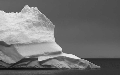 Antarctica Iceberg in Weddell Sea White Modern Wood Framed Art Print with Double Matting by Young, Bill