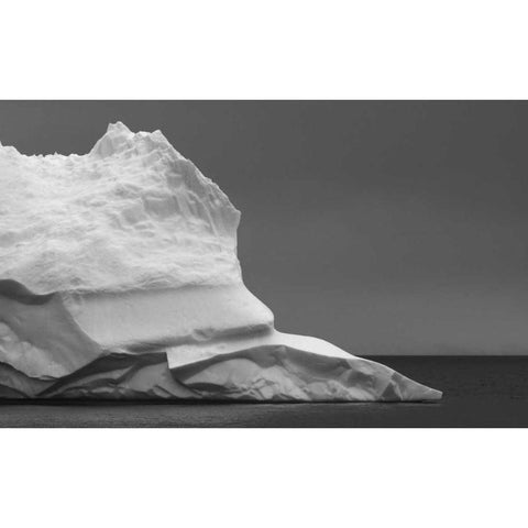 Antarctica Iceberg in Weddell Sea Gold Ornate Wood Framed Art Print with Double Matting by Young, Bill