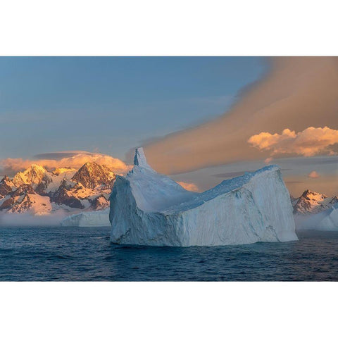 Antarctica-South Georgia Island-Coopers Bay Iceberg and mountains at sunrise  Gold Ornate Wood Framed Art Print with Double Matting by Jaynes Gallery