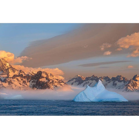 Antarctica-South Georgia Island-Coopers Bay Iceberg and mountains at sunrise  Black Modern Wood Framed Art Print by Jaynes Gallery
