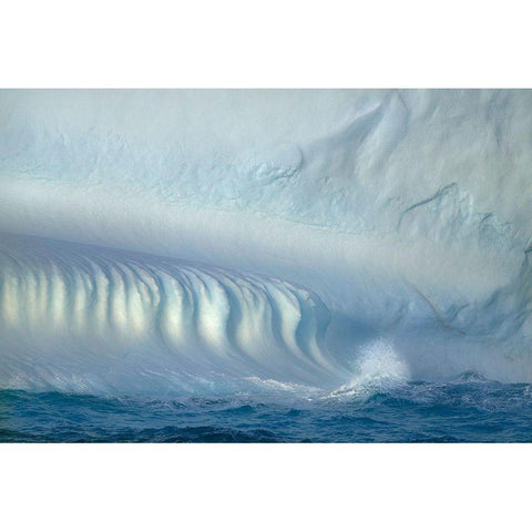 Antarctica-South Georgia Island-Coopers Bay Iceberg at sunrise  Black Modern Wood Framed Art Print by Jaynes Gallery