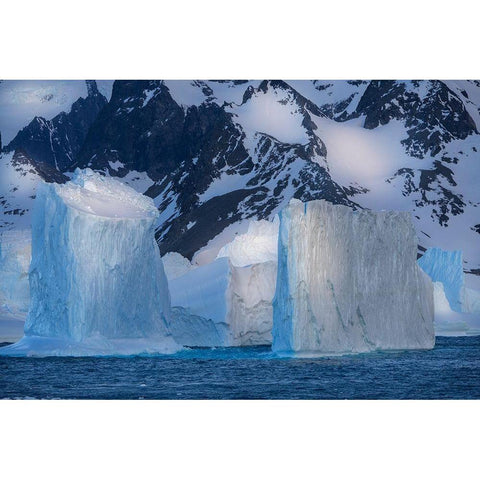 Antarctica-South Georgia Island-Coopers Bay Icebergs and mountains at sunrise  Black Modern Wood Framed Art Print by Jaynes Gallery