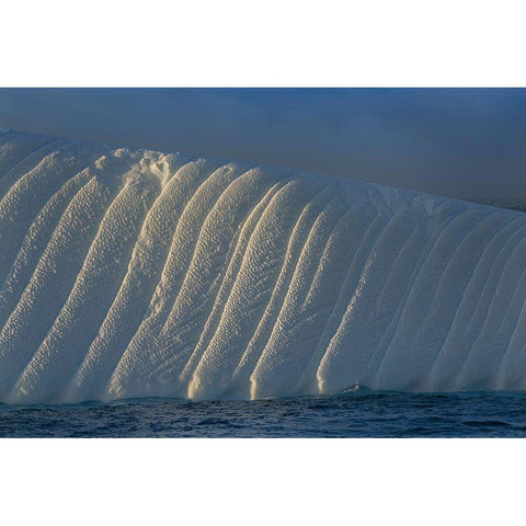 Antarctica-South Georgia Island-Coopers Bay Iceberg at sunrise  Black Modern Wood Framed Art Print by Jaynes Gallery