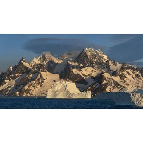 Antarctica-South Georgia Island-Coopers Bay Icebergs and mountains at sunrise  Black Modern Wood Framed Art Print by Jaynes Gallery
