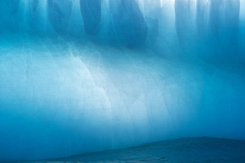 Antarctica-South Georgia Island-Gold Harbor Blue iceberg close-up  Black Ornate Wood Framed Art Print with Double Matting by Jaynes Gallery