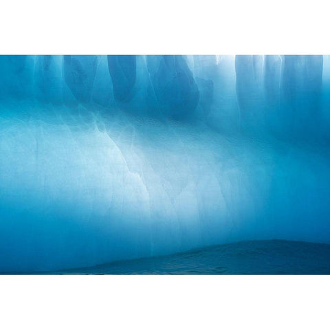 Antarctica-South Georgia Island-Gold Harbor Blue iceberg close-up  Black Modern Wood Framed Art Print with Double Matting by Jaynes Gallery