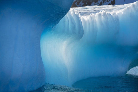 Antarctica-South Georgia Island-Gold Harbor Blue iceberg close-up  Black Ornate Wood Framed Art Print with Double Matting by Jaynes Gallery