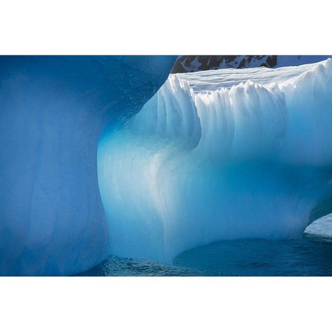Antarctica-South Georgia Island-Gold Harbor Blue iceberg close-up  Black Modern Wood Framed Art Print by Jaynes Gallery