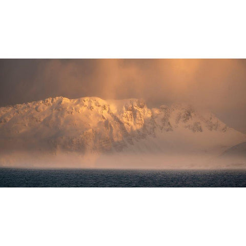 Antarctica-South Georgia Island-Bay of Isles Sunrise panoramic of fog on mountain and ocean  Black Modern Wood Framed Art Print by Jaynes Gallery