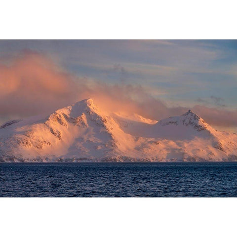 Antarctica-South Georgia Island-Bay of Isles Sunrise on mountain and ocean  Black Modern Wood Framed Art Print by Jaynes Gallery