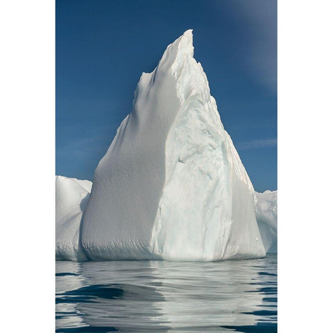 Antarctica-South Georgia Island-Stromness Bay Iceberg reflects in ocean  Gold Ornate Wood Framed Art Print with Double Matting by Jaynes Gallery