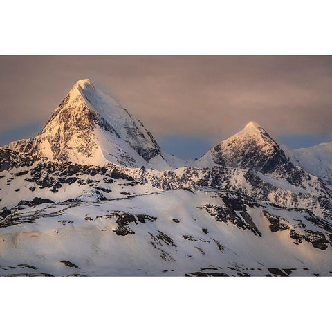 Antarctica-South Georgia Island-St Andrews Bay Spring sunrise on mountain  Black Modern Wood Framed Art Print with Double Matting by Jaynes Gallery