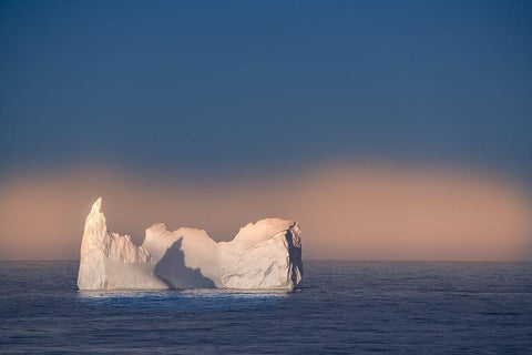Antarctica-South Georgia Island Lone iceberg and sunset  Black Ornate Wood Framed Art Print with Double Matting by Jaynes Gallery